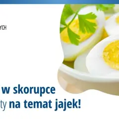 Czy jajka naprawdę odchudzają? Fakty i mity o ich wpływie na redukcję wagi