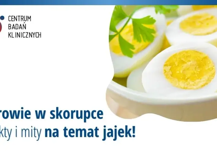 Czy jajka naprawdę odchudzają? Fakty i mity o ich wpływie na redukcję wagi