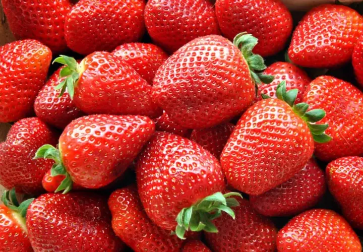 Ile kalorii mają truskawki? Wartość odżywcza i wpływ na dietę w 100 g