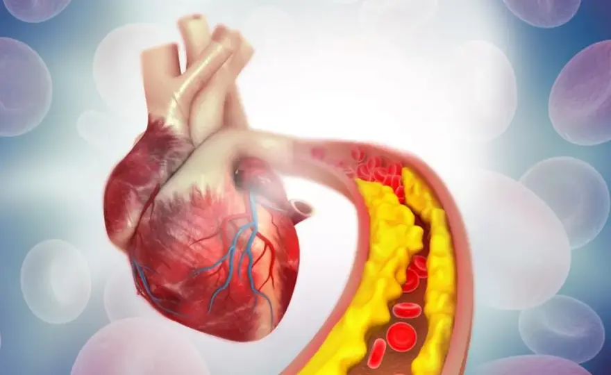Jak sprawdzić cholesterol: kluczowe metody i ważne przygotowania